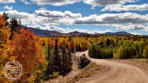 a dirt road with trees and mountains in the background