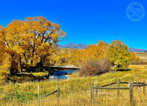 Fall Spectacular