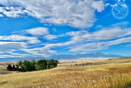 a field of grass with trees and mountains in the background