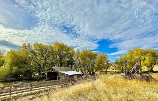 a barn in a field with trees and blue sky