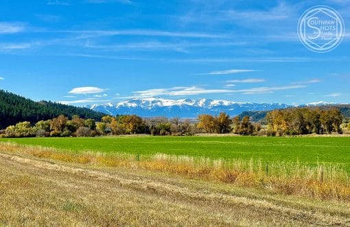 a field with trees and mountains in the background