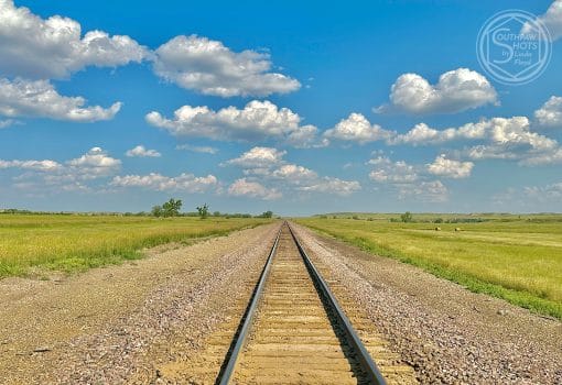 a train tracks in a grassy field