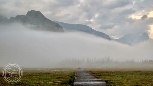 a wooden path leading to a foggy landscape