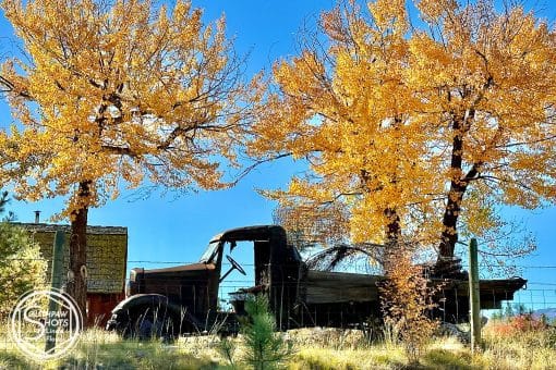 Rusty Gold