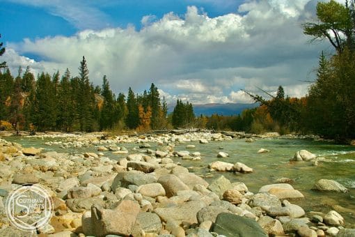 Nature's Symphony