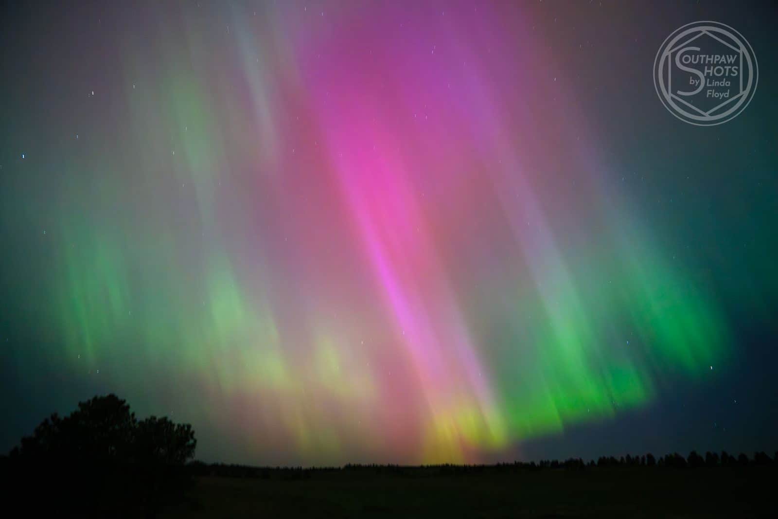 Aurora Borealis Amazement