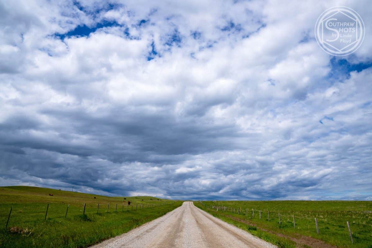 a dirt road through a field with grass and clouds