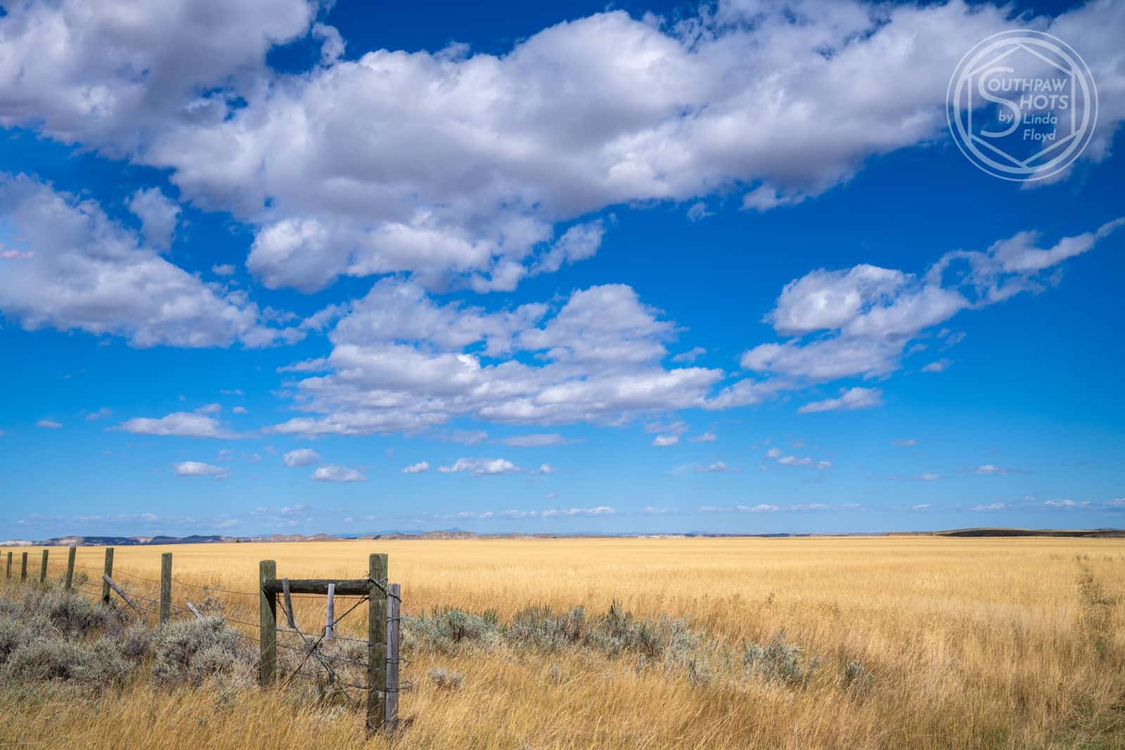 a field of grass with a fence and blue sky