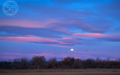 Sunrise, Moonset