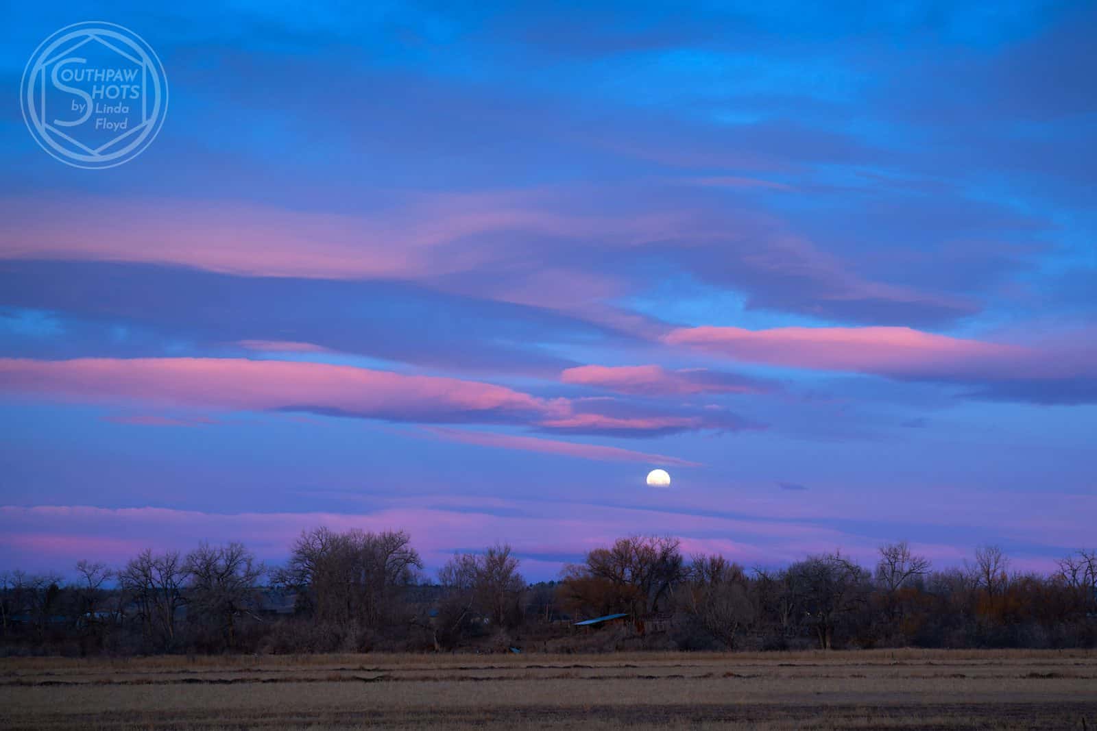 a moon in the sky