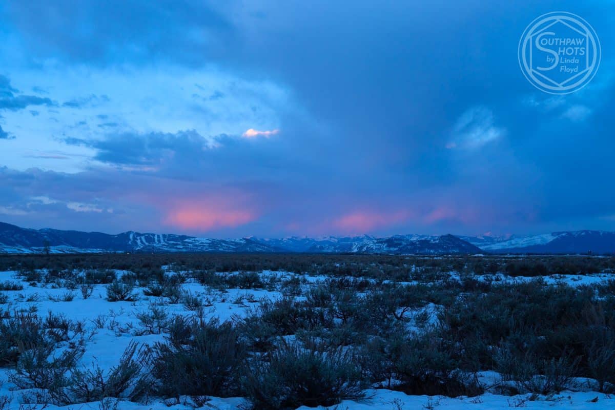 a snowy landscape with mountains in the background