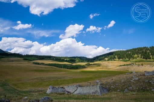a large grassy field with trees and blue sky
